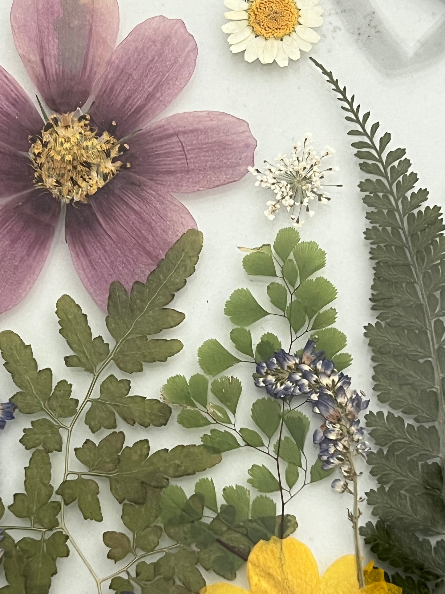 Pressed flowers in hanging glass -A Walk in the Woods