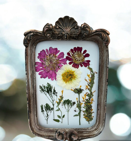 Real pressed flowers in frame