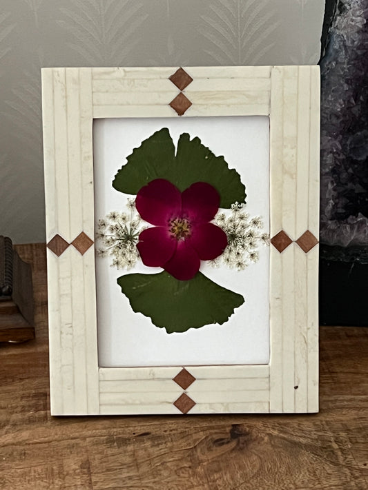 Real pressed Ginkgo Leaves and roses- framed