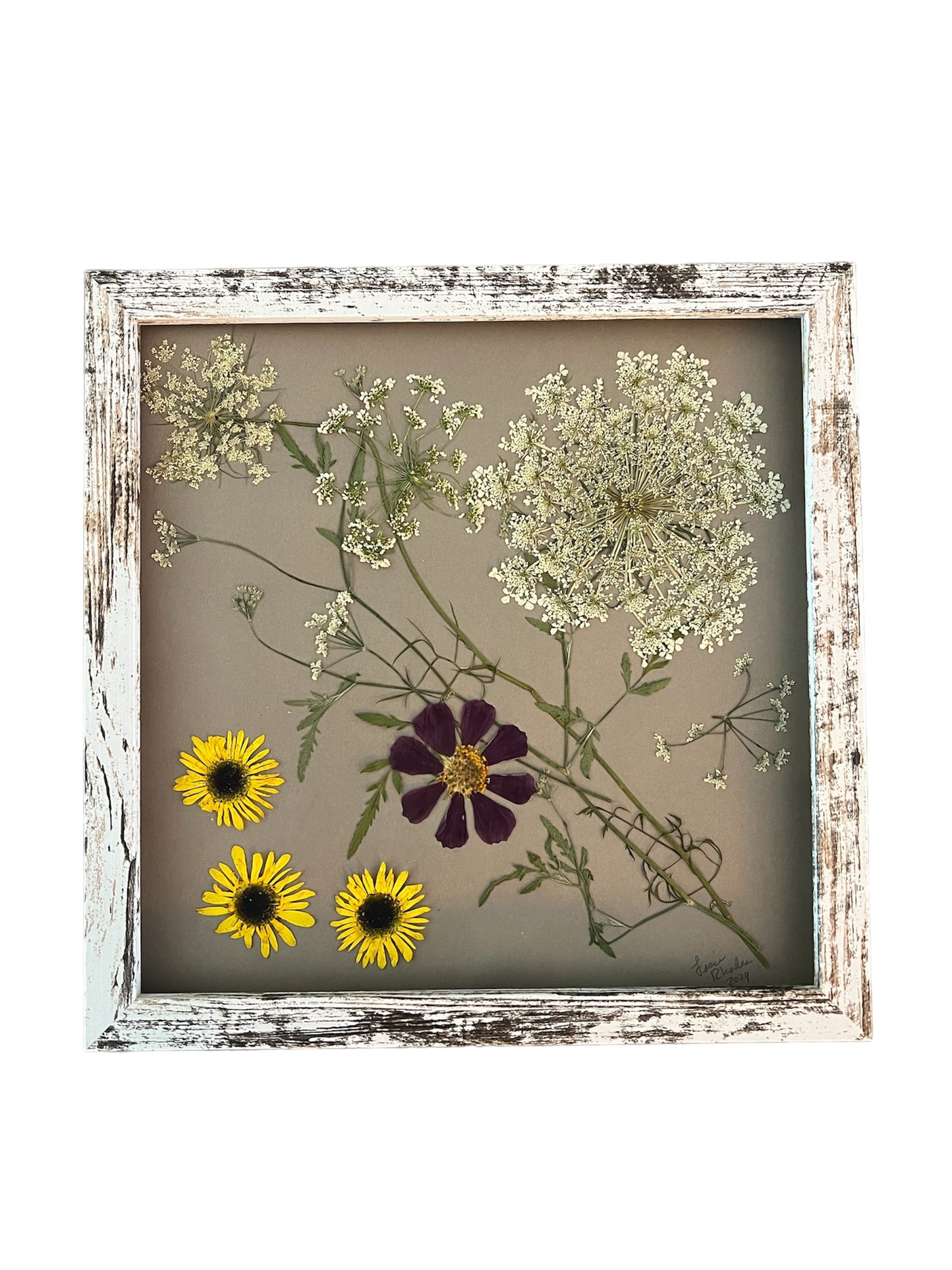 Real pressed flowers in frame