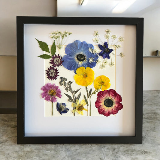 Pressed flower art, framed art, wall decor, pressed anenomes, real flowers