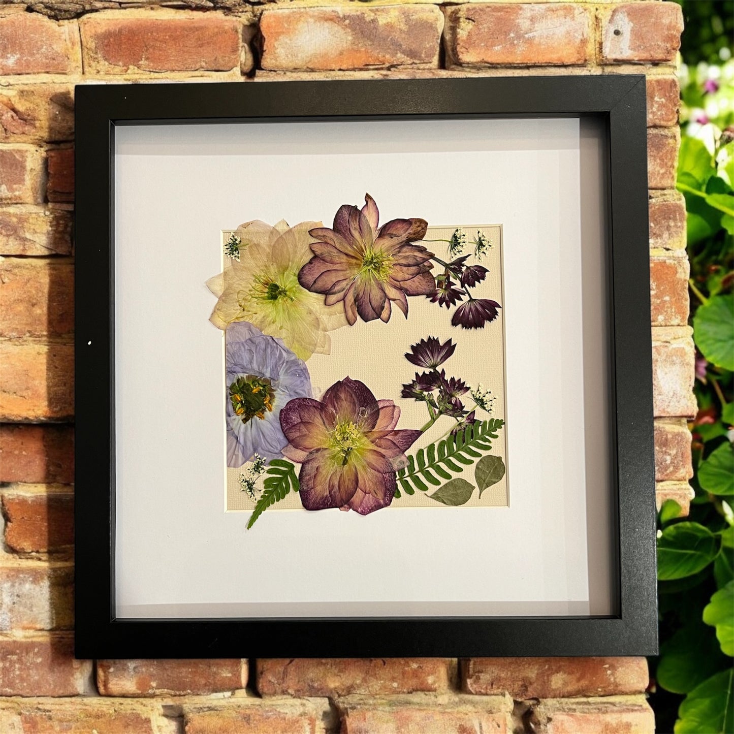 Framed pressed real flowers, square frame, gift, one of a kind original