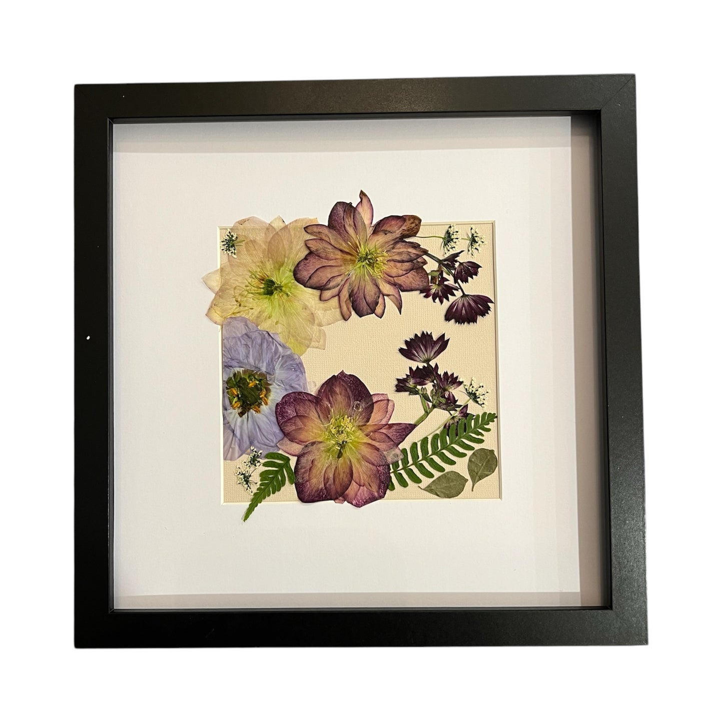 Framed pressed real flowers, square frame, gift, one of a kind original